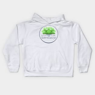 Be Aware of Your Surroundings Kids Hoodie